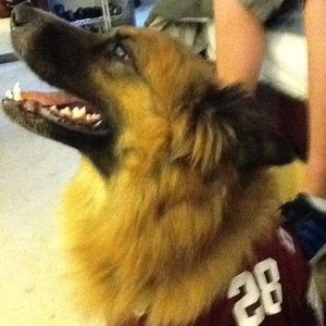 Meet your Posher, Melanie